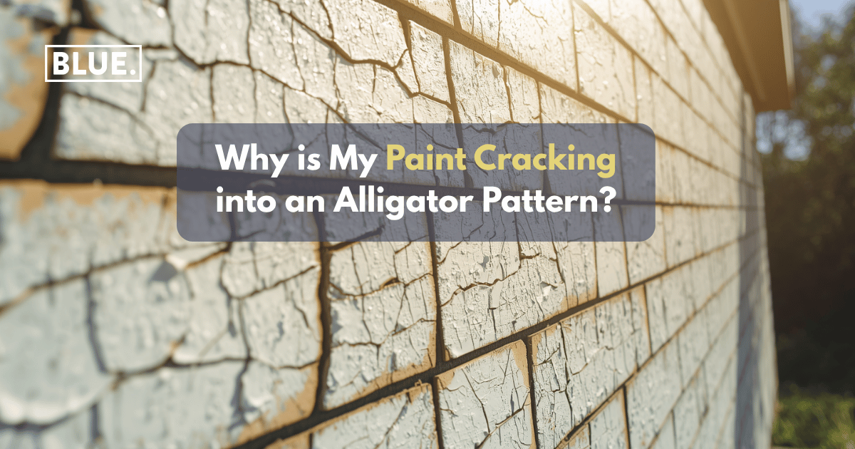 Why is My Paint Cracking into an Alligator Pattern?